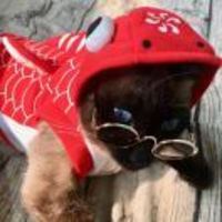 441477b2da6ca86c07e9660f60e838b18b3936fc