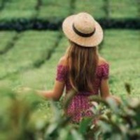 5098b3a123d39738180ef5ca61d1e84afad3e971