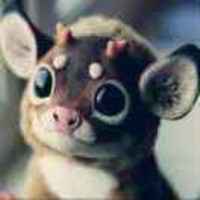 Fa14538e4e5d9dd6156fead96739f8a7dfa6ab35