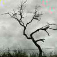 0b6111fddae2822c78210d66e002eaca0ba72bd8