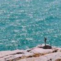 806907101b758fefec698c8f07446d083db918e2