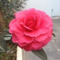 2449295cb5eab69d372ead9e2342f033d78c1247