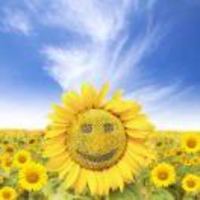 8c10d0766389de2f1488b3b6a5dc7fa26df305ee