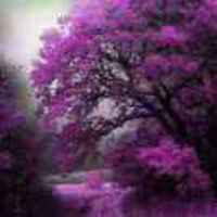 D735033774f92d7fe7b67c1b56a5581e51ce31ab