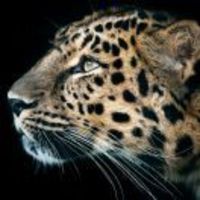 C71eb30dd7ad47833ebf539143d736e5e3052f0f