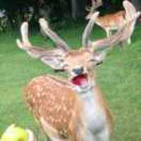 136fd7f3cc80da83faa507e822345f7da1662371