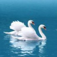 Acec95169f7e08eab6ba6d472a56e4e1f76a5004