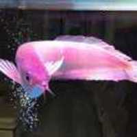 144f147e4997c722db661990190e6b73c2de2d79