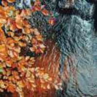 28477a87430fd9ac74856d027f3716de821408af