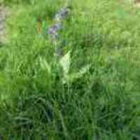 D2e746e75f6b4b54fbef83920c4cfb65ecd1c1a2