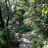 F382e52a339c3f7de147e9ff5818d826c9404e88