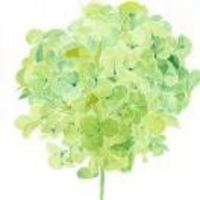 C19fe9b66279a5951a42e3847240cccda51e9686