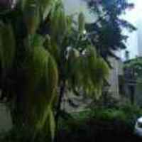 67669ee5f97d74391d01bc75377c17092c0faa69