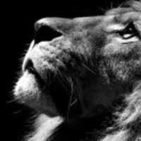 F043e4bf4f5799a36659631711a515420808440e