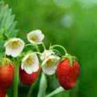 E134be49b169854b0d67c924834a58d93c673532