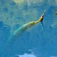 01ffb61e4c1a9cb9115fcdc096857da83db3cdbf