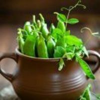 07db733531c0a9eaaa35e0e35378734bffedaacc