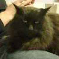 91976915346a0d21daa70b9e6c7d683b38bd44a2