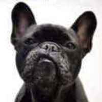 F7244d9a78f00f4aea3a238ee1bb1c6c4f770549