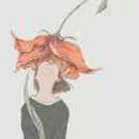 Dddd87e390948f8c92428a4b1d49590f8dc34617