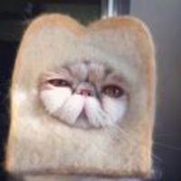 B8d05a9fb1b3c3c4add480d26f035594d9aa6a0b