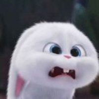 85b1dd226e3fb16a02f81c3750a0b330b415e4d0