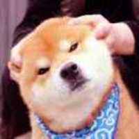 E24817b22a97d87e4921361d52c76f38a57ceb2b