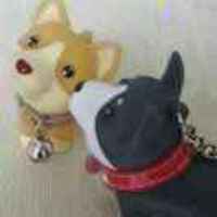 E942964a6863dfe4c744c6d0ed41c6d56c93f586