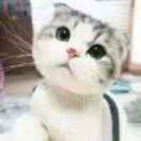 8ce16c37f4851e10c8ee54e2bfeb377ba49b7af0