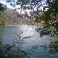 A0a51688972dfba1ef416d3f37c50ea62a344b65