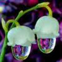 2cf8f2e5d0fd14b67637f571f0ac3afd70115c9a