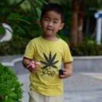 4df32584dd0738e00e2df502ccf2360a8f6a74a6