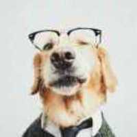 175e90f80aa375d80b22c56d710f0c0e31e85ed5