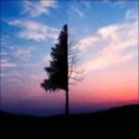 B06f1b1ad27344022f2877b0f3b53e27dc9caa92