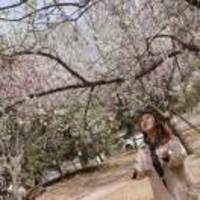 3ec5faa1b83f40c25026286122abd2b2e64fd17e