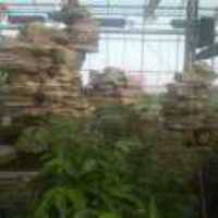 0bfad3188b9698c46c0dbbc0c700924ac32c7850