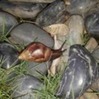 52e982dc551c6d14b4be842cd225449e2a9181ae