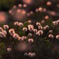 A7dcfbc48b04eabd6cf8d4777334bd4706ec3de3