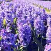 Cf9e3d176c904c641bc4fcbe83e95e47c86bf4e8