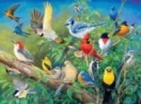 376b56fcc90433c4e3dcbe4c7116c2cbb086d642