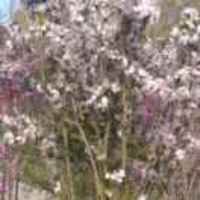 F6f86d626c42e34db6533efcbbf711ac1e6bbb26