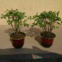 0e02d4bc5a2fb6ebda9780fac3687656a74b802d