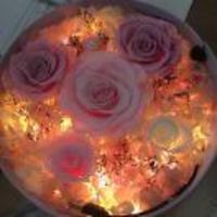 858cbda986f0f35458e15feae787af4c339a2234