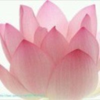 431f70fa8e493d1214f522504a99bcbb4af7026b