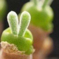 7354c3af6f321b085c5b1196e67bf4c9525592c8