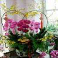 2397ae0f445ed72d153022a9b4ef83c12b6a46af