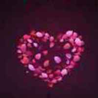 A2f8750fa7689b792d73d09fa34d3ece325d9459