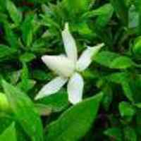 1ac9d5e6293c5f549cac665da15b3d11ef844e2c