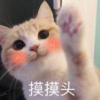 3bc916457d992ba5749d23eda608dc86417b8d71