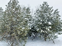 021e808a76feb17ff824bf07f9d907fac1173f48